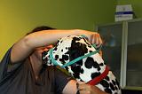 DALMATIEN - MUSELIERE 009